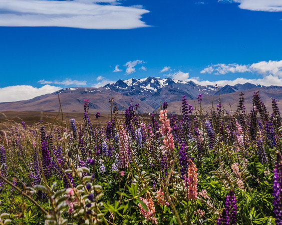 Lake Tekapo, New Zealand