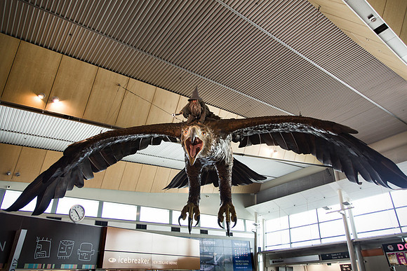 Wellington Airport Terminal, New Zealand