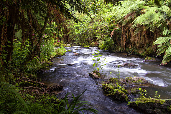 Rotarura, New Zealand