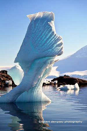 Ice Sculpture