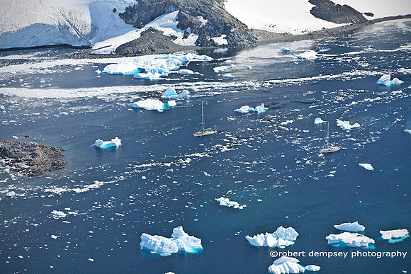 'Crowded' Anchorage