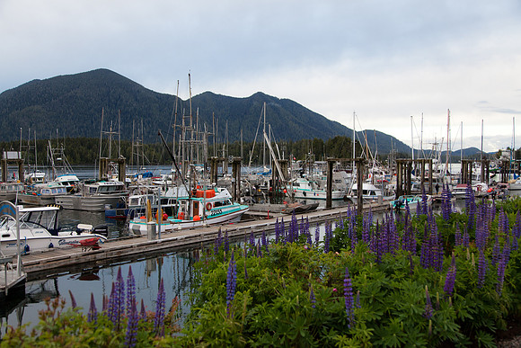 Tofino Marina