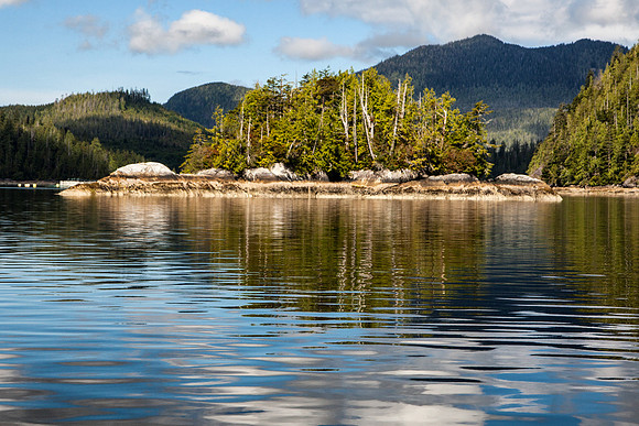 Low tide near Tofino