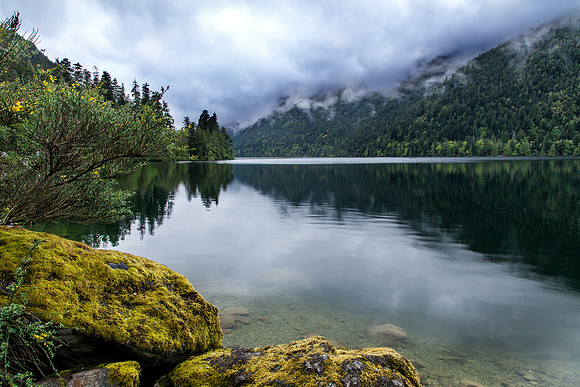 Vancouver Island Roadside Stop