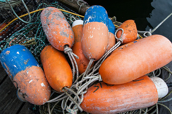 Fishing Gear on Tofino Pier