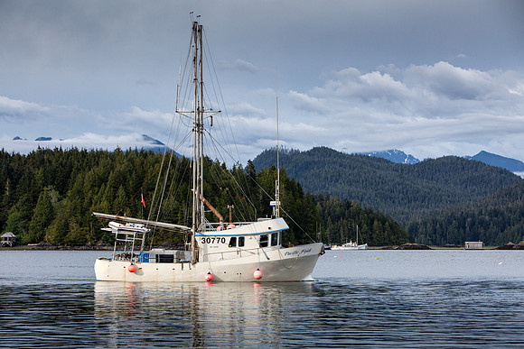 Tofino Fishing Boat