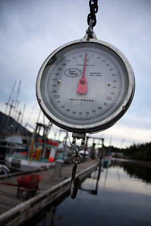 Fishermen's Scale