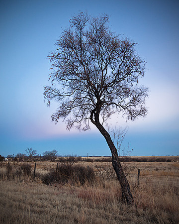 Fort Davis, Texas Dawn