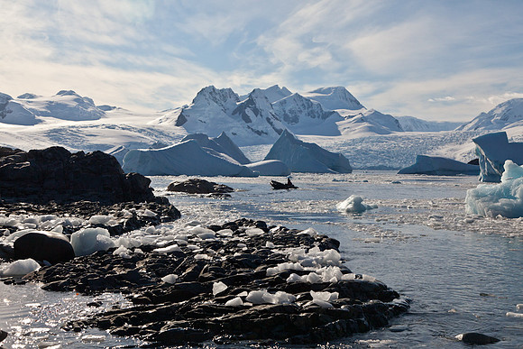 Harbor at Primavera Station