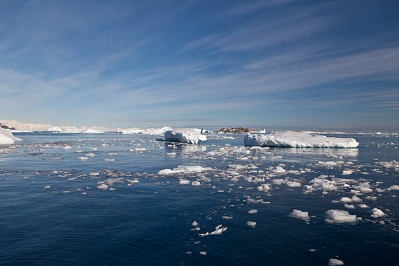 Iceberg later to rise