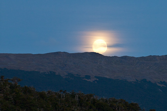 Moonrise First Night