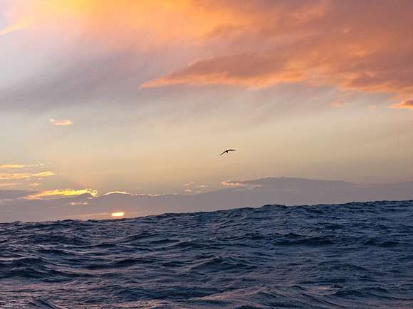 Drake Passage