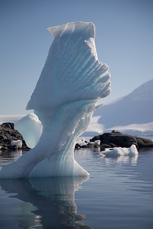 Iceberg at Port Lockroy