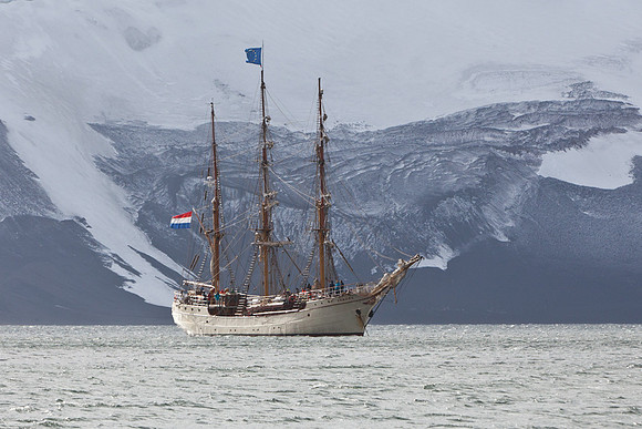 The Bark Europa
