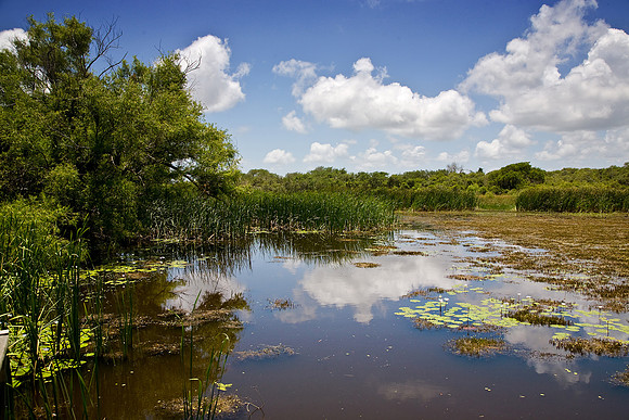 Aransas Wildlife Refuge