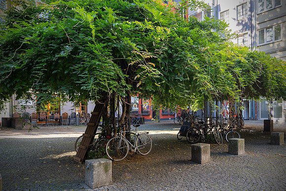 Koblenze bicycles