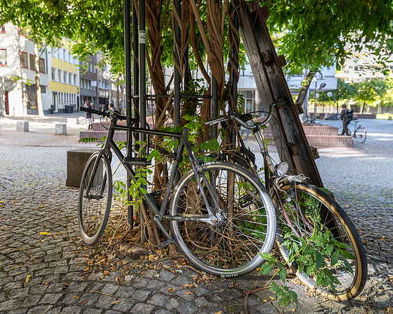 More Koblenze bicycles