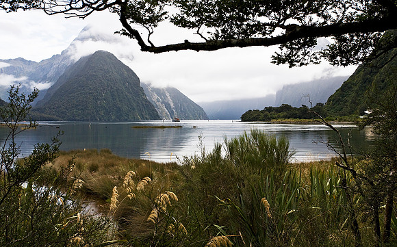 Milford Sound, New Zealand