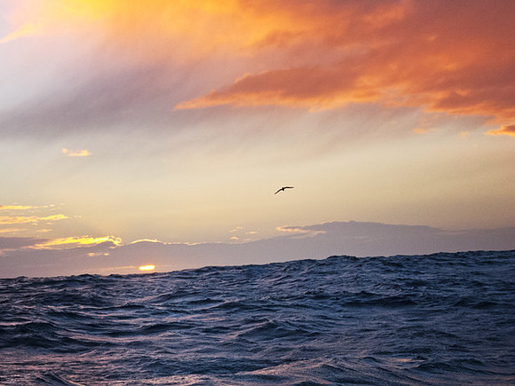 Drake Passage on a Calm Evening