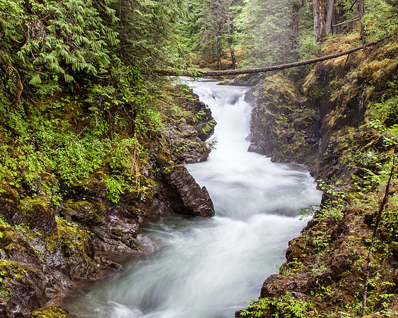 Qualicum Falls Provincial Park