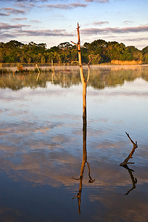 Armand Bayou