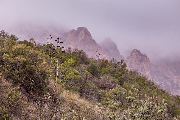 Big Bend Trail