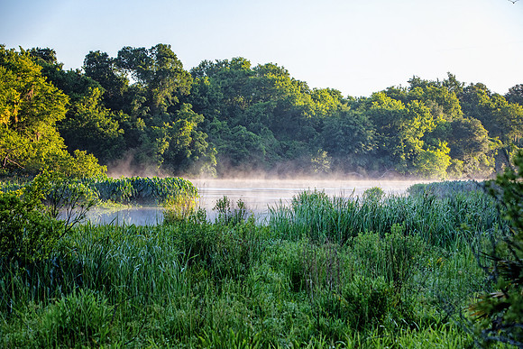 Morning mist on the lagoon.